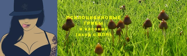 а пвп мука Костерёво